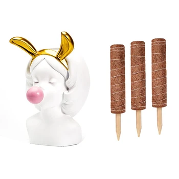 

1Pcs Cute Little Girl Blowing Bubbles Succulent Flower Pot & 3Pcs Plant Climbing Coir Totem Pole Coconut Palm Stick