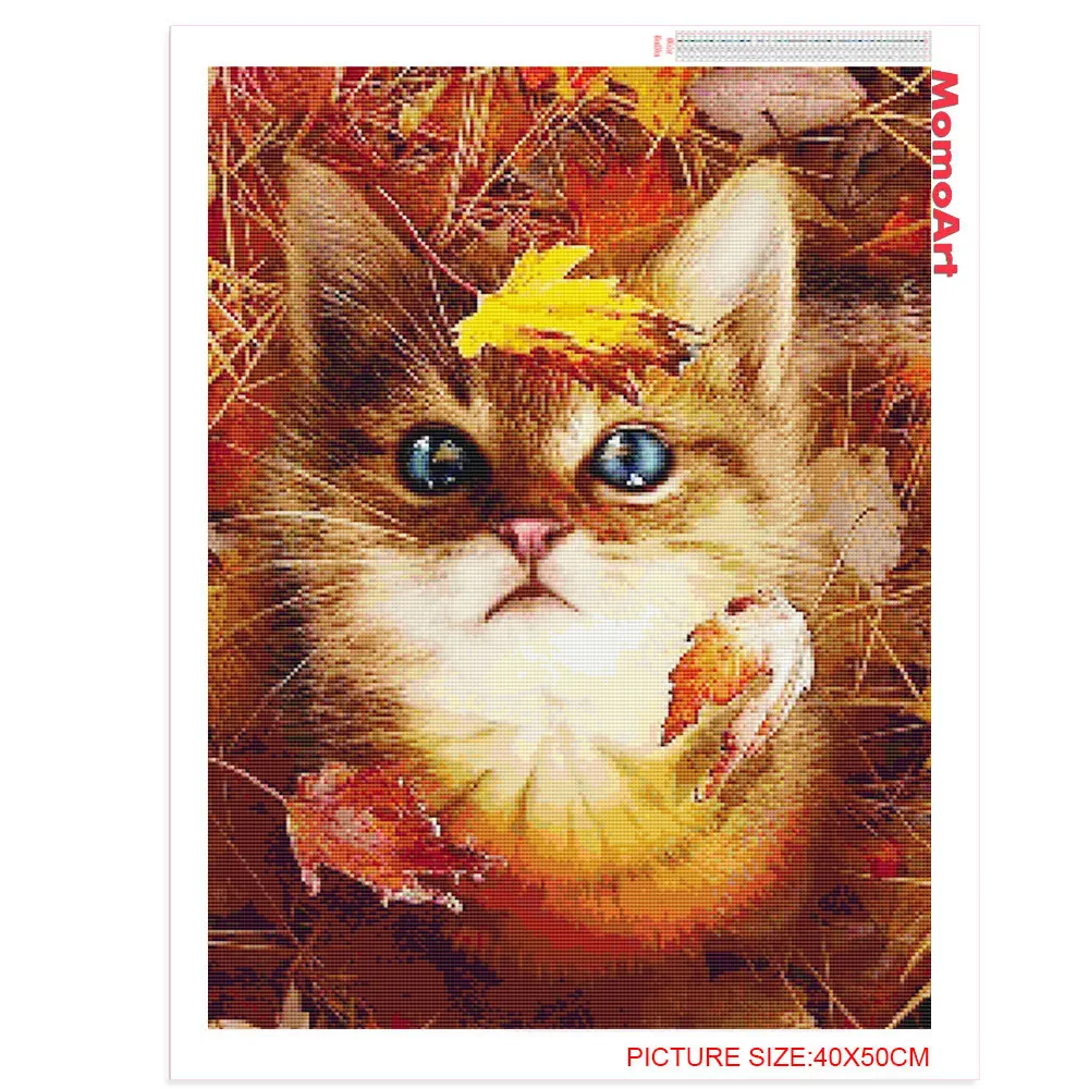 MomoArt ������ ���̾Ƹ�� ������ũ Ǯ ���̾Ƹ�� �ڼ� ŰƮ, ���� �ٴ��� �׸�, ���� ũ�ν� ��Ƽġ, Ȩ ����, �Ż�