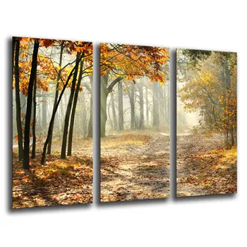 

Autumn forest Landscape Nature Sunset, photo print on wood, modern picture decorative 26044