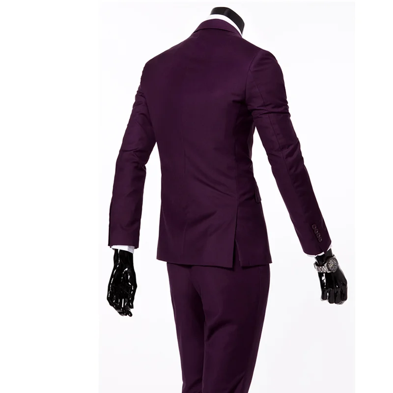 Мужской костюм высокого качества, комплект из 3 предметов(пиджак+ жилет+ брюки), мужские свадебные профессиональные костюмы/большой размер, Тонкий деловой мужской блейзер - Цвет: 2 piece purple