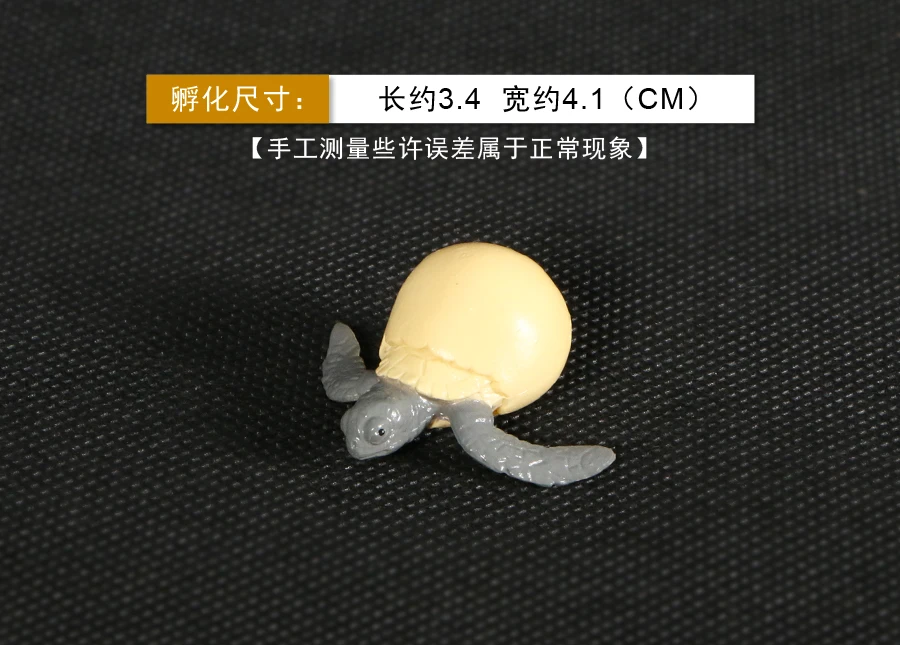 龟 (3)