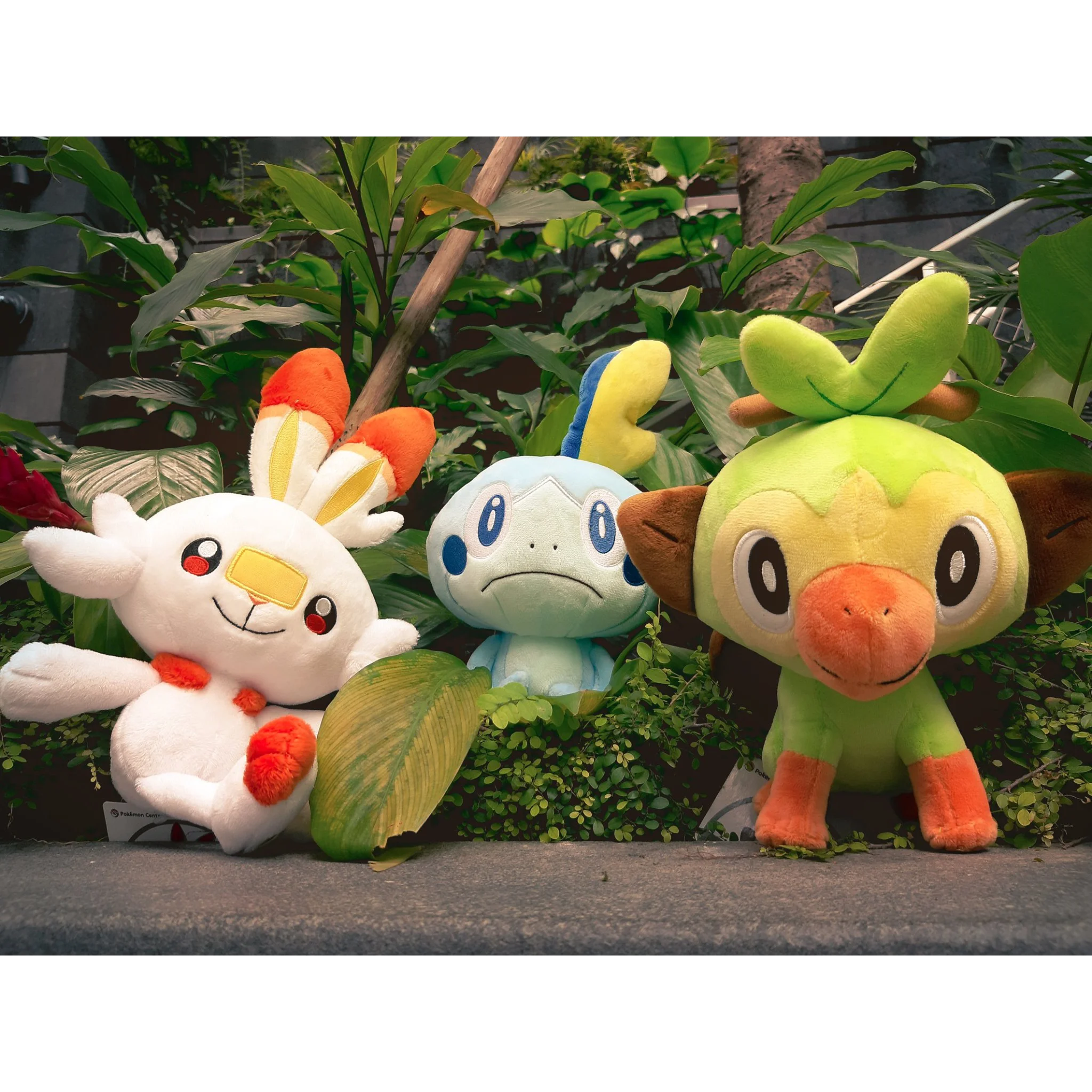 scorbunny sobble and grookey plush