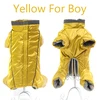 Yellow-Boy