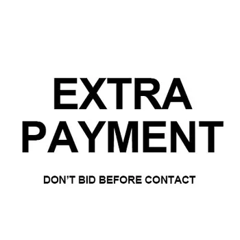 

EXTRA PAYMENT NEEDED - DON'T BID BEFORE CONTACT US