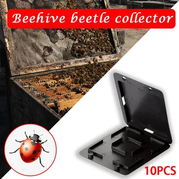 

пчеловодство honey for apicultura beekeeping bee hive Plastic Case Beetle Collector Lid Insect Traps Catching Hive Beekeeping Z4