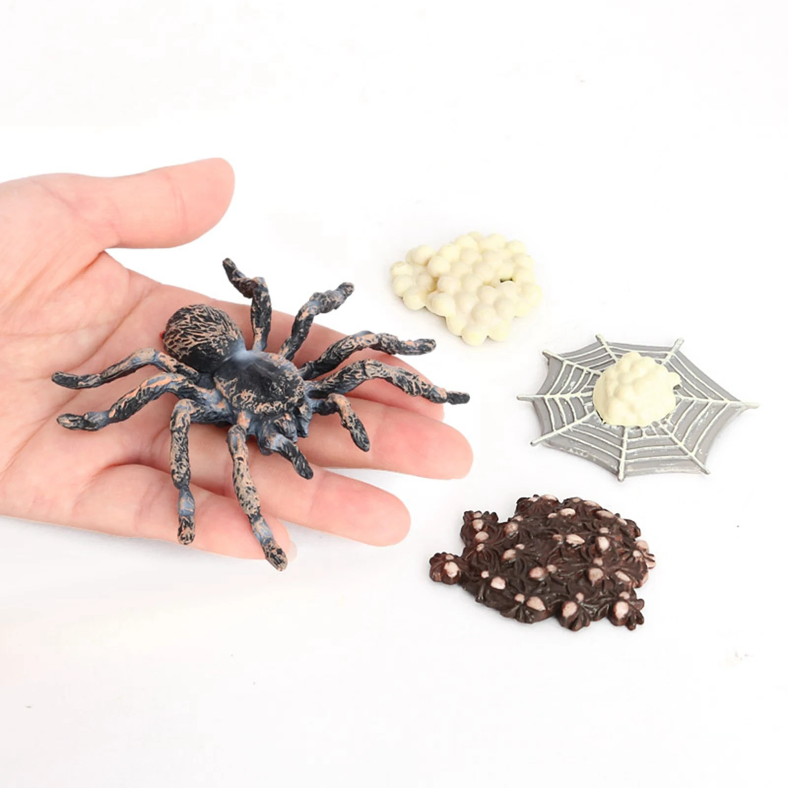 Figuras de araña blanca para el ciclo de la vida, accesorio educativo para nuestro Kit en vivo
