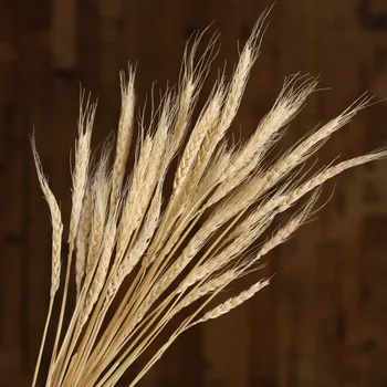 

50pcs Natural dried wheat flowers Wedding decoration simulation flower Modern home decoration