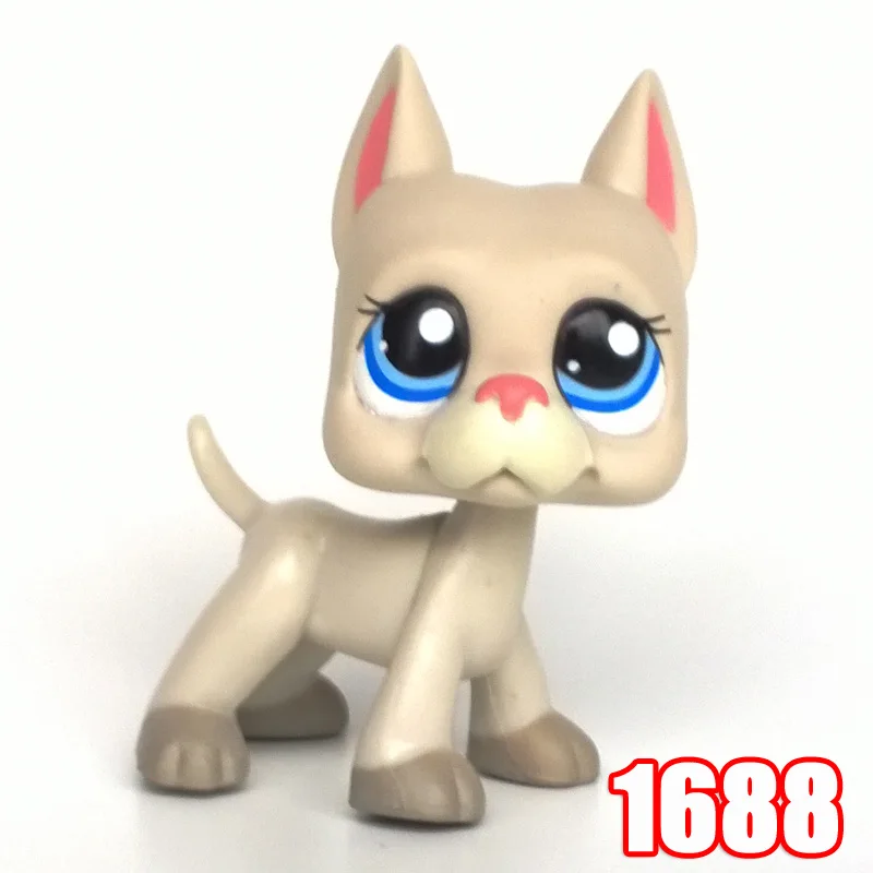 1688 Лпс стоячки кошки игрушки Lps кошка редкий магазин домашних животных игрушка подставки короткие волосы котенок Собака Такса колли большой Дэн спаниель щенок старый коллекция животных - Цвет: 1688