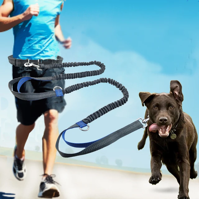 Laisse Course Mains Libres Chien Ceinture Réglable Corde - Temu