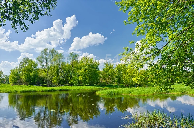 utensílios para pintura e tratamento de parede