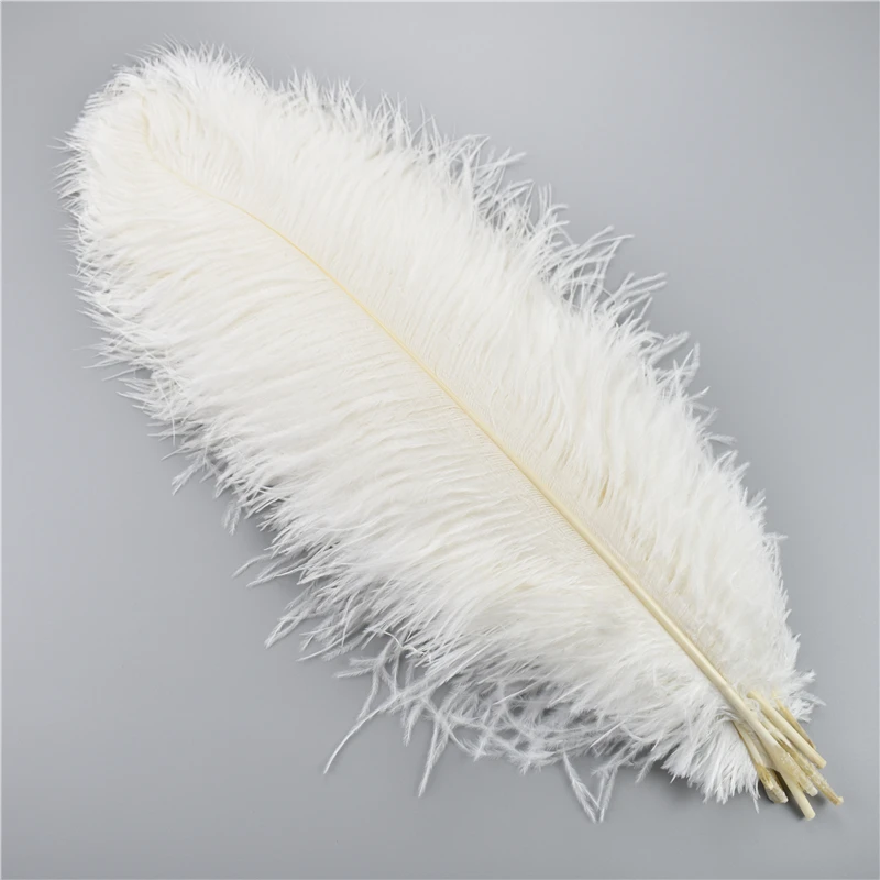 50/20pcs Natural Ostrich Feathers Bulk Wedding Party Decoration DIY  Centerpiece