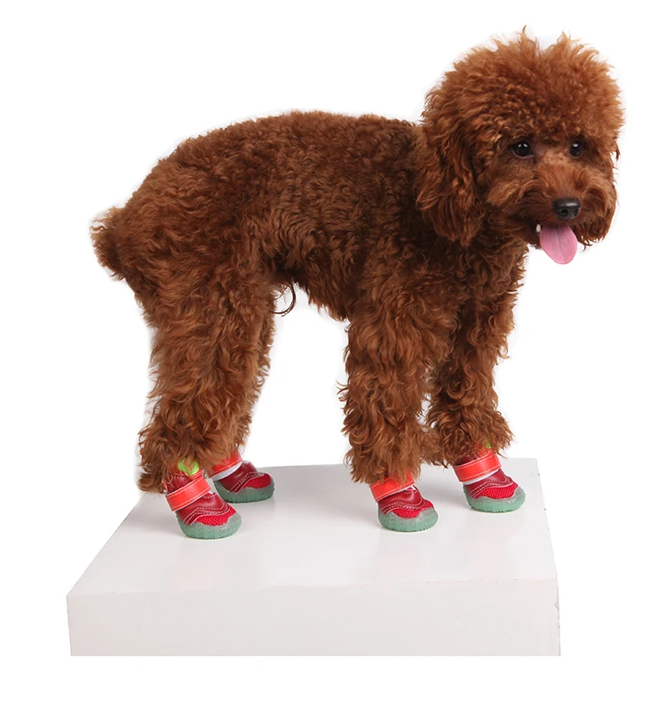 Спортивная обувь для собак 4 шт./компл.|dog sneakers|large dog shoeslarge boots |