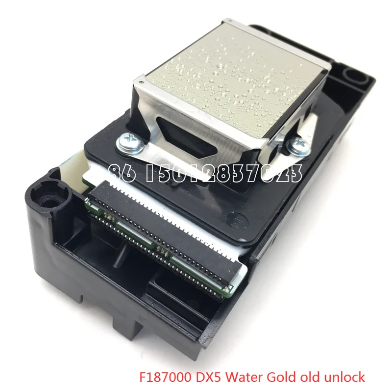 F187000 DX5 Water Gold old unlock