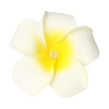 

2 Sets Yellow Flowers Frangipani 20 LED String Light Hawaiian Foam Artificial Plumeria Flower Battery Powered Fairy Starry Light