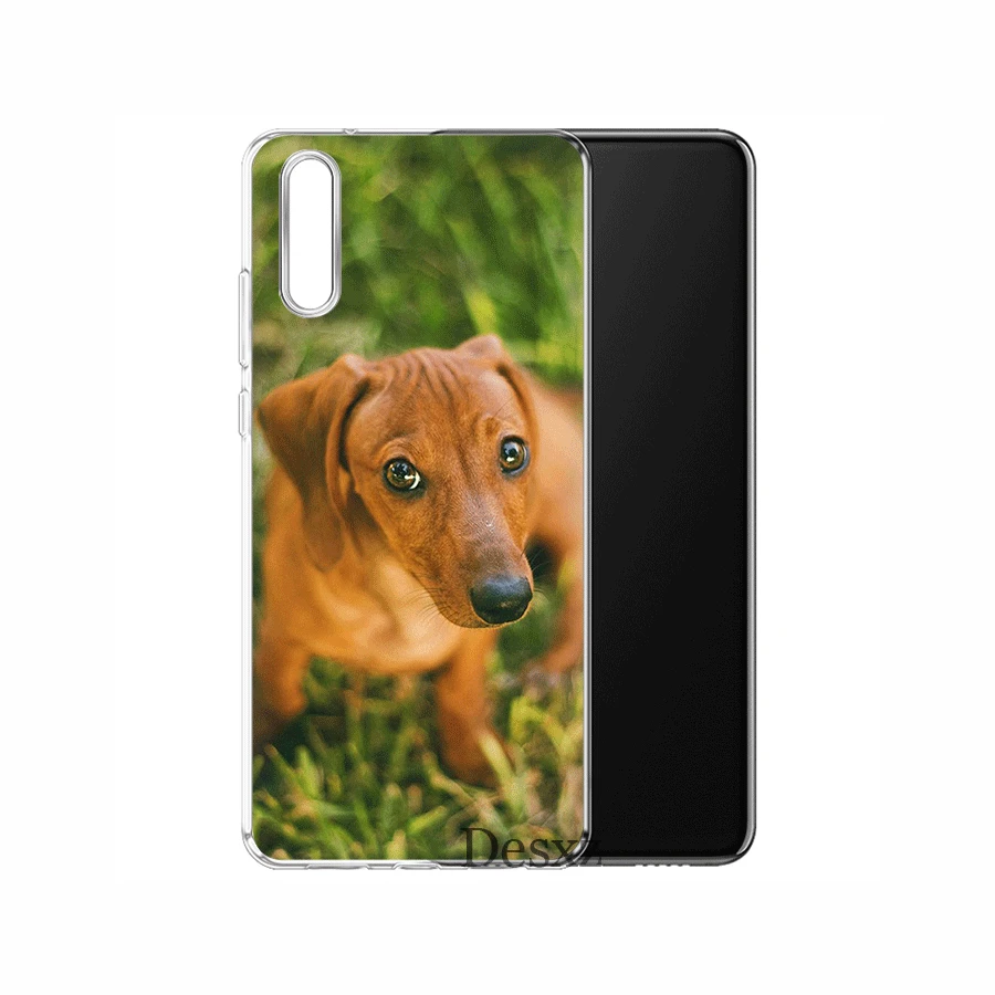 Чехол для мобильного телефона из ТПУ для huawei P30 P20 P10 P8 P9 Lite Pro P Smart Z Plus, чехол с изображением животных собак таксы - Цвет: 7
