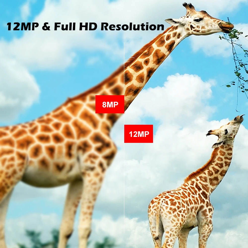 1080P камера для наблюдения за животными нм, камера ночного видения для улицы, водонепроницаемая камера для съемки дикой природы, камера для охоты