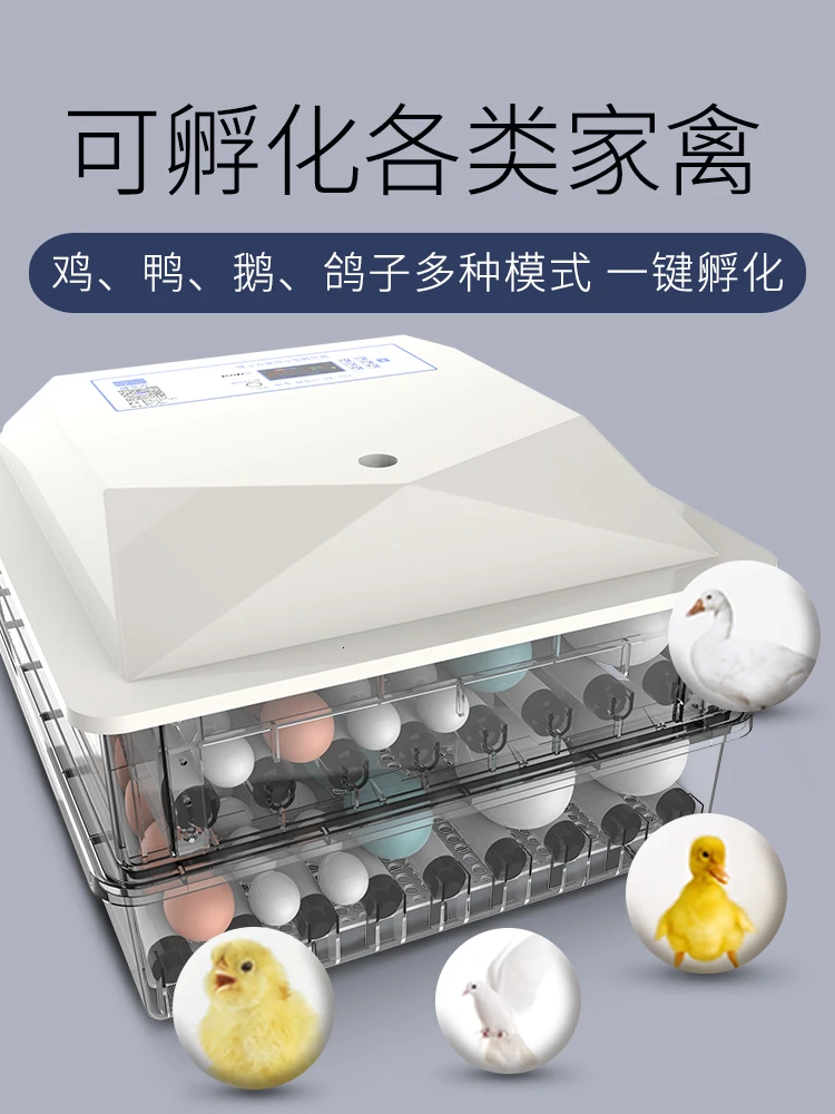 

Automatic Egg Incubator Farm Hatchery Machine Birds Quail Brooder Dual Power Supply Digital Intelligent 12V/220V Couveuse