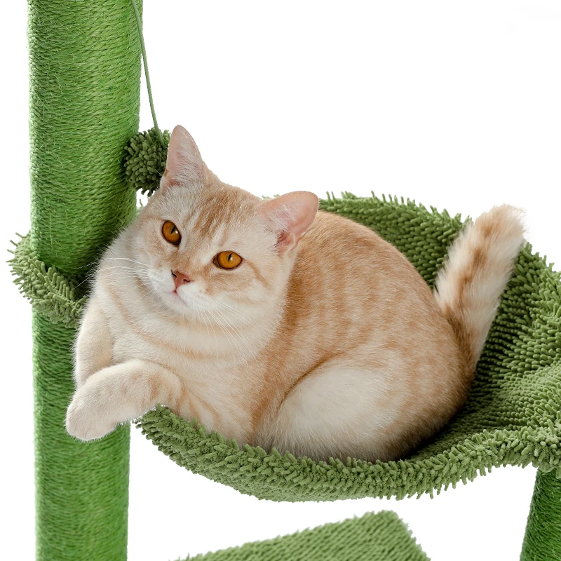 Title 22, Domestic Delivery Wood Climbing Tree Cat Jumpi...