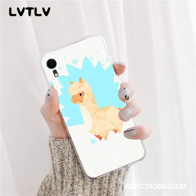 Lama Llama Alpacas Animal