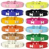 Perro Collar de hueso de cuero Durable mascotas accesorios cuello Collar de correa para perro cachorro Pug collares de perros grandes ► Foto 1/6