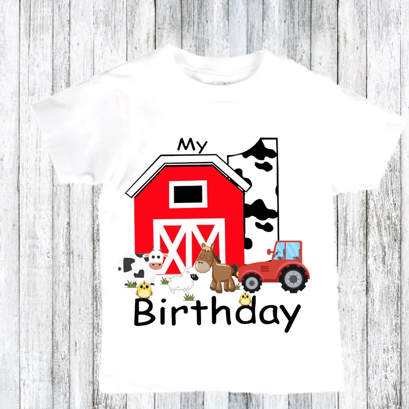 Country Rustic Barnyard Farm Animals Themed 1st 2nd 1 2 First Second One Two Year Old Boy Girl Happy Birthday Decoration Gift