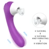 Gode vibrateur à double Stimulation, ventouse G Spot, ventouse avec 6 ventouses fortes intensités 9 Modes de Vibration, jouets sexuels pour femmes 2 en 1 ► Photo 3/6