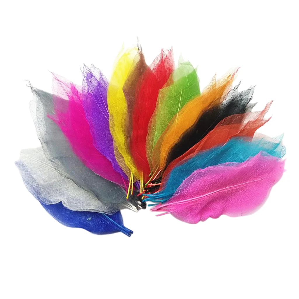 100 Pieces Colorful Magnolia Dried Skeleton Leaf Leaves Scrapbooking Embellishment for Jewelry Making DIY Necklace Earrings