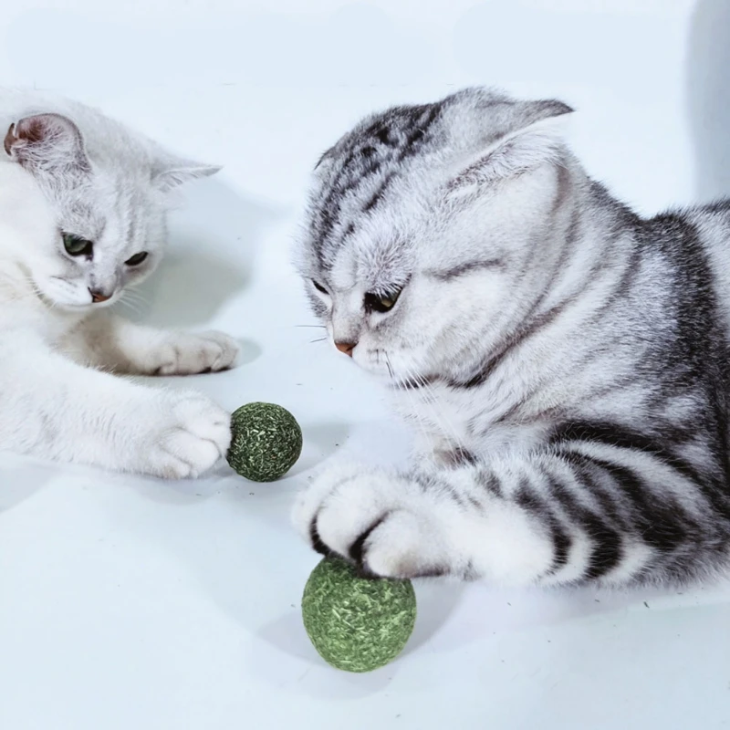 3 шт./партия Catnip Silvervine самоклеящийся вращающийся листок шар для кошек настенное крепление молярный Прорезыватель игрушка для питомца кота Прорезыватель игрушка для собак, очищающая зубы
