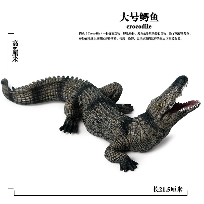 Model Solid Wild Animal Model CHILDREN'S Toy Model BoarCroc Crocodile Car Mounted Decorations And Ornaments Garage Kit