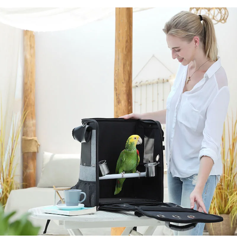 Рюкзаки The parrot out
