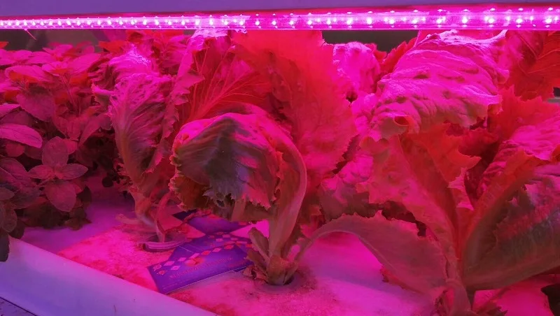 mmexport1524480639070