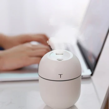 

220ML Portable Mini Fan Mist Sprayer Humidifier Diffuser Ultrasonic Air Purifier Aroma Sprayer Home Car USB Fogger Mist Maker