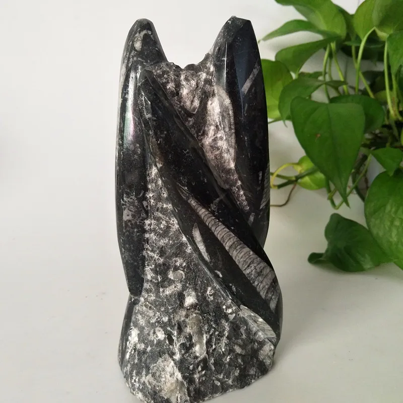 

Natural stones crystals Right Angle fossil mineral specimen, home decoration research and teaching stone