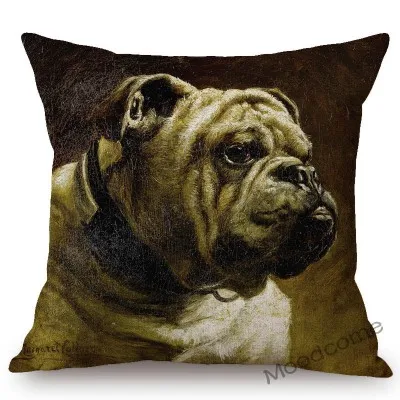 conew_n387 (27) 副本