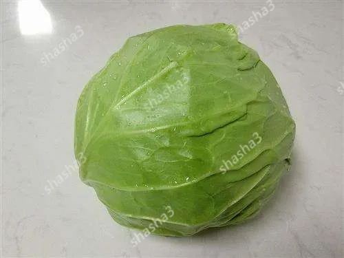 

New arrival! Cabbage bonsai Organic food. Taste good. Delicious cuisine . DIY home garden. Easy to plant