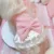 Pet Cat Dog Princess Dress Bud Ribbon Skirt Sweet&lovely Style for Teddy Poodle Bichon Shih Tzu Pet Dog Clothe Girl Dog Clothes