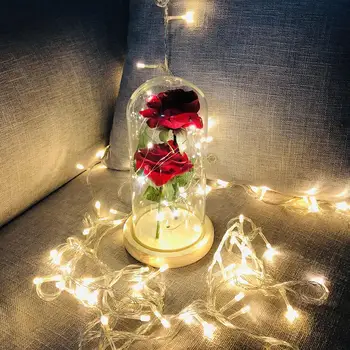 

Eternal Flower 2 Roses Glass Party Floral Decor Festival Gift Preserved Fresh Flower Rose Glass Cover Wedding Decoration