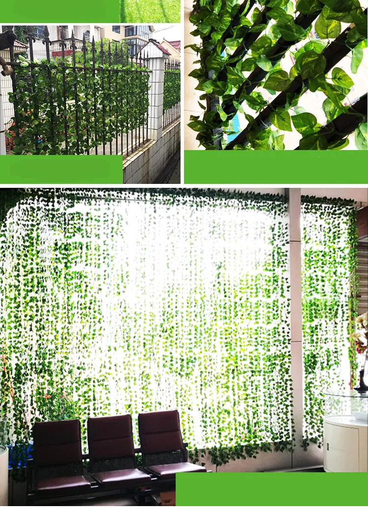 11117013248_1451029161