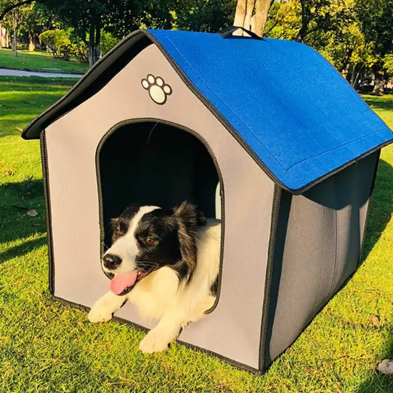 retriever kennel dog house