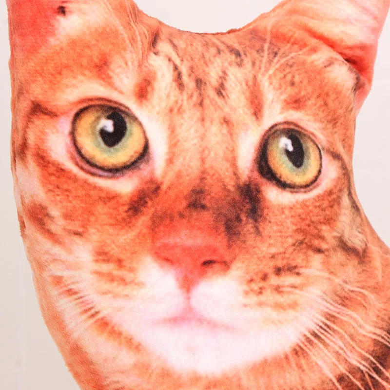 46cm Animal Cat doll American Shorthair orange cats plush Toy simulation cat stuffed toys pillow cushion 4