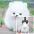 Pet Selfie Stick Собака Кошка Смартфон Selfie Stick Щенок Selfie Stick Стержень Собака Кошка Фото Съемки Игрушки Мобильный Телефон Клип Pet Supply