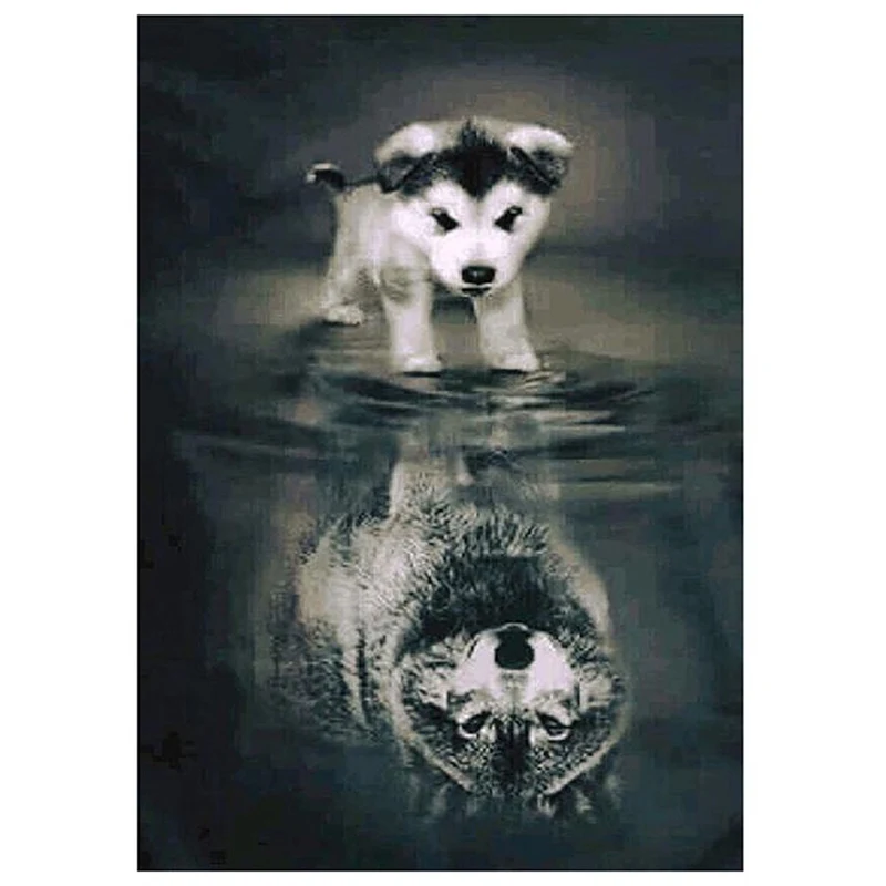 

5D Diamond Painting Cross Stitch Kits Set Diamond Embroidery Diamond DIY Embroidery Painting Husky Wolf