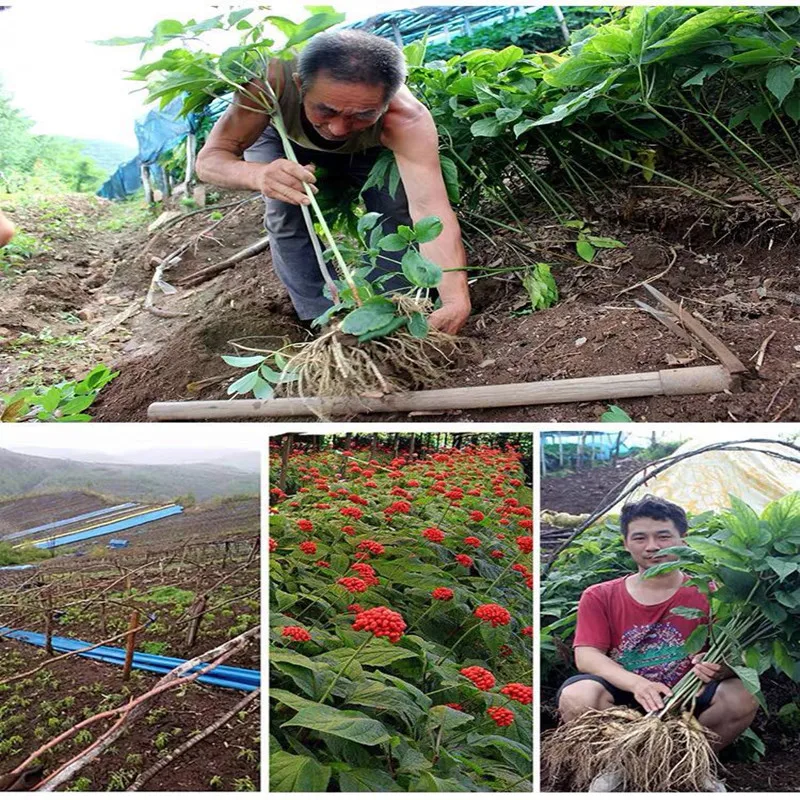 微信图片_20200714184045