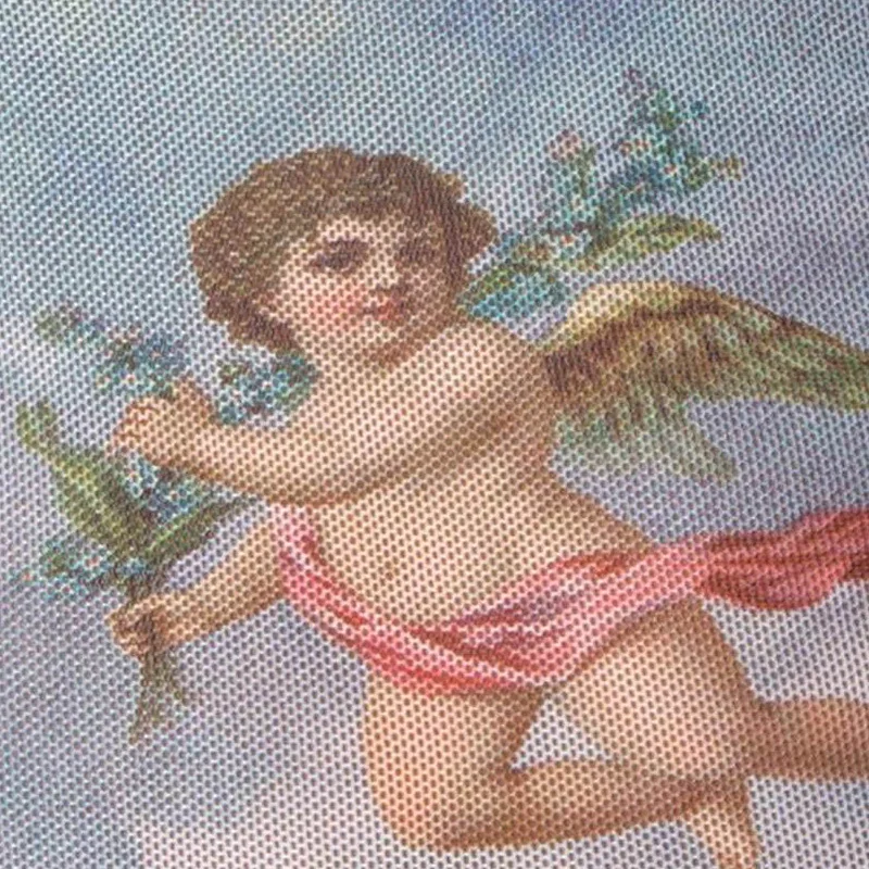 LARA-CROP-MESH-ANGELS73753D_10