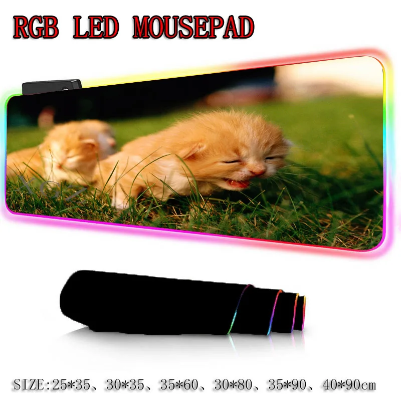 XGZ Animal Kitten Grass Custom Large RGB Mouse Pad Black Delicate Locking Edge Computer Desk Mat Ru