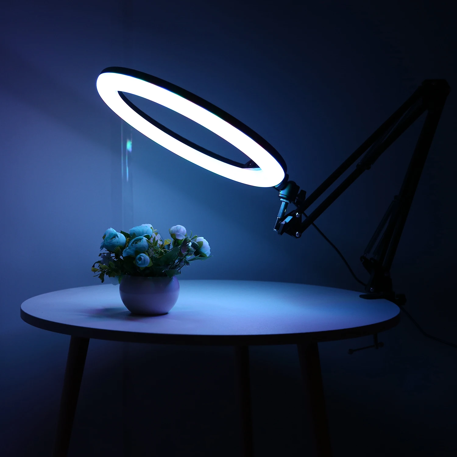 Photography Selfie Light 26cm 33cm Ring RGB Lamp With Long Arm Desktop Tablet For Phone Video Live Overhead shooting Manicure