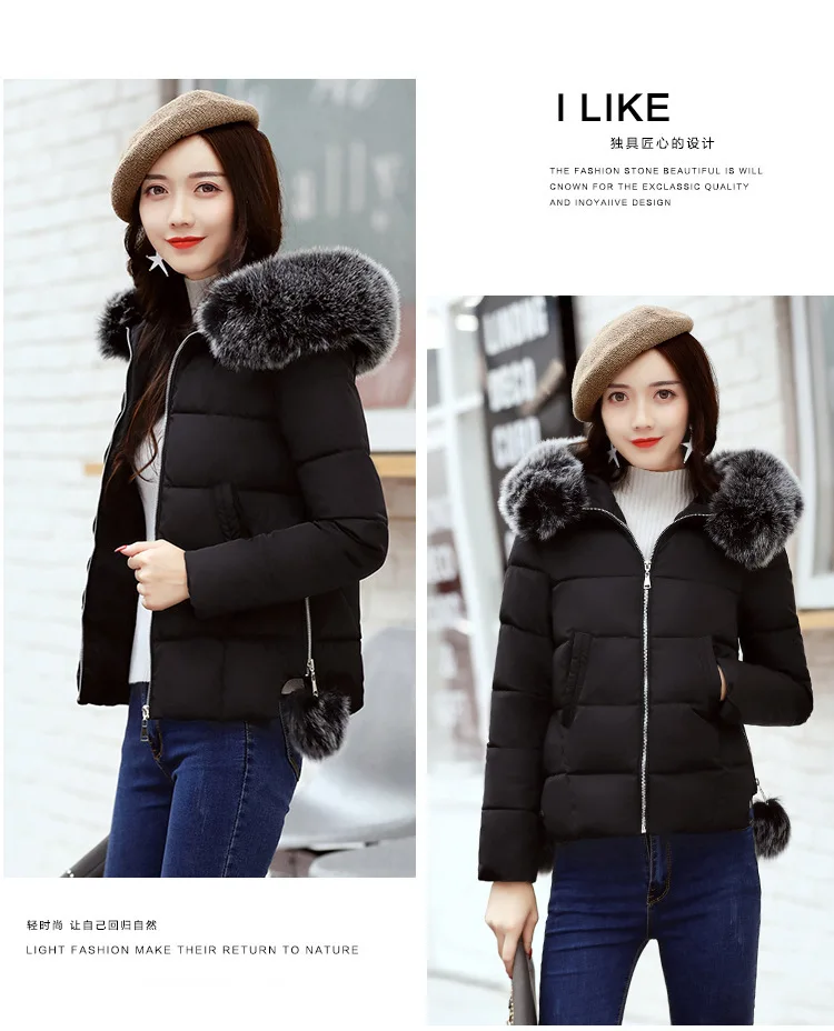 8979208893_1006637240