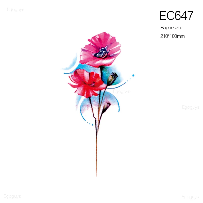 EC647