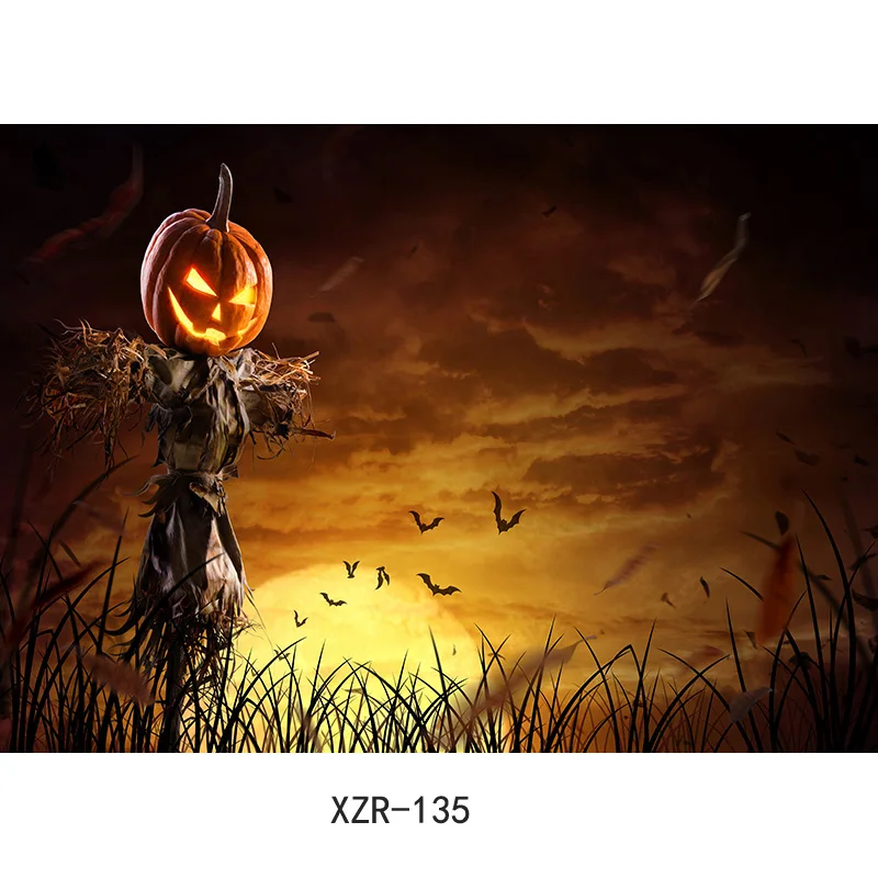 ҷ  ȣ  Ʈ   ǥ     Ʃ ǰ 2182 XZR-04