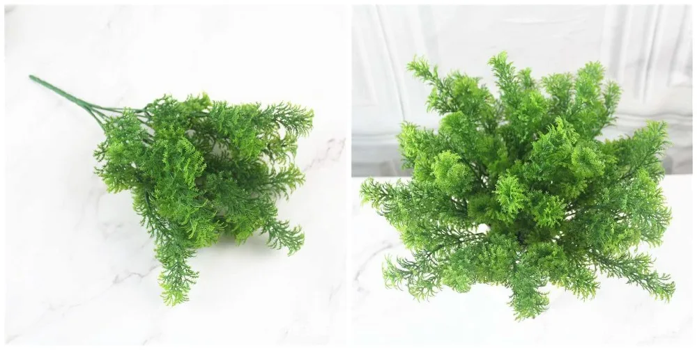 9321056988_2032011975